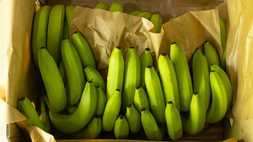 Bananes Demeter et sans plastique chez Naturalia !