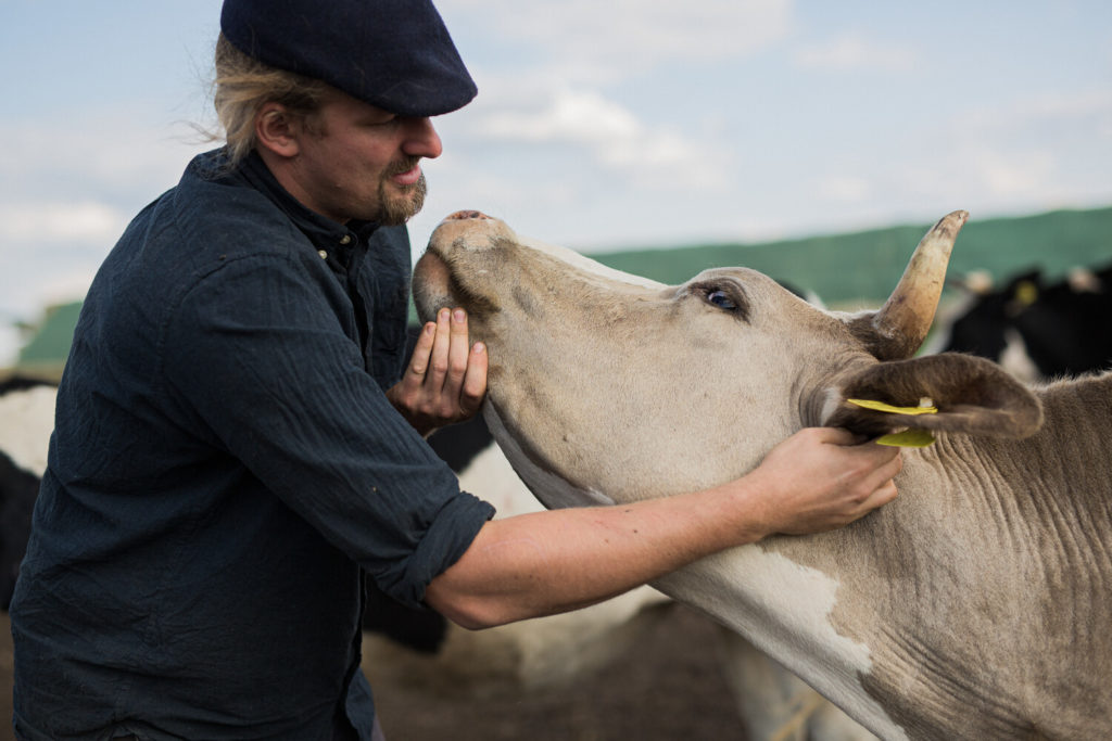 Eleveur Demeter et sa vache.