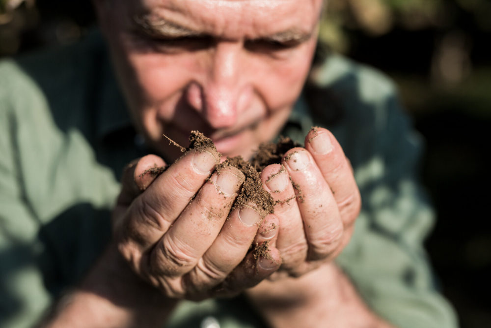 agriculteur Demeter humant la terre