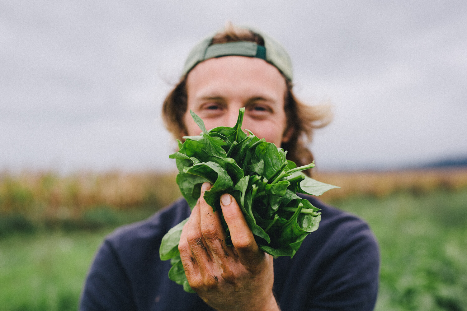 Agriculteur avec des épinards