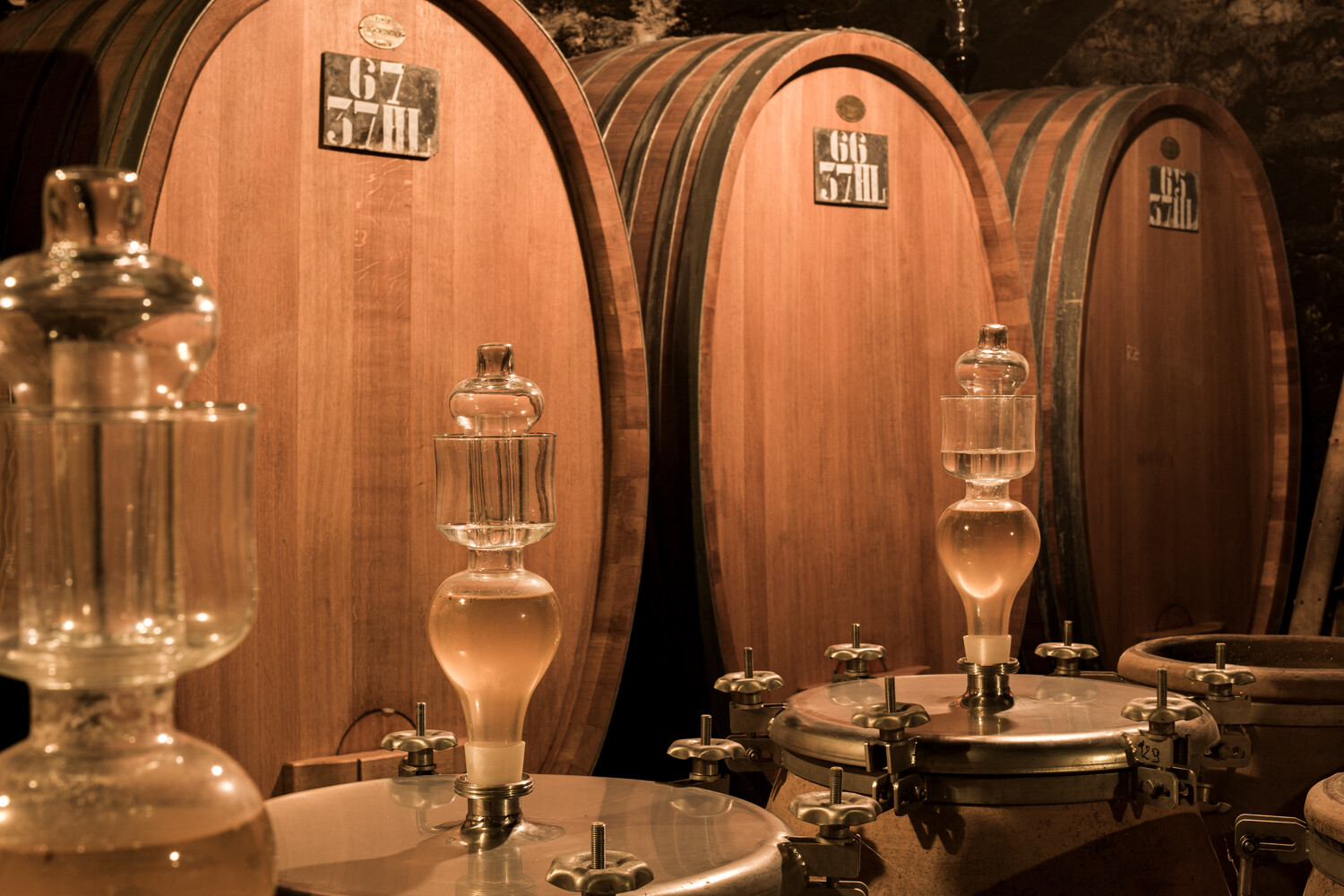 cave à vin avec foudres