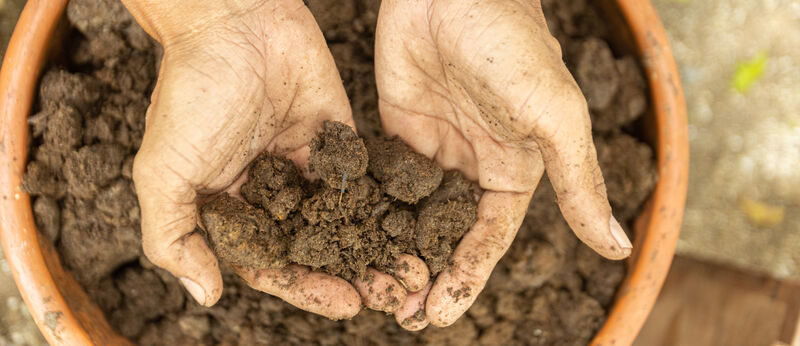 main dans préparation biodynamique