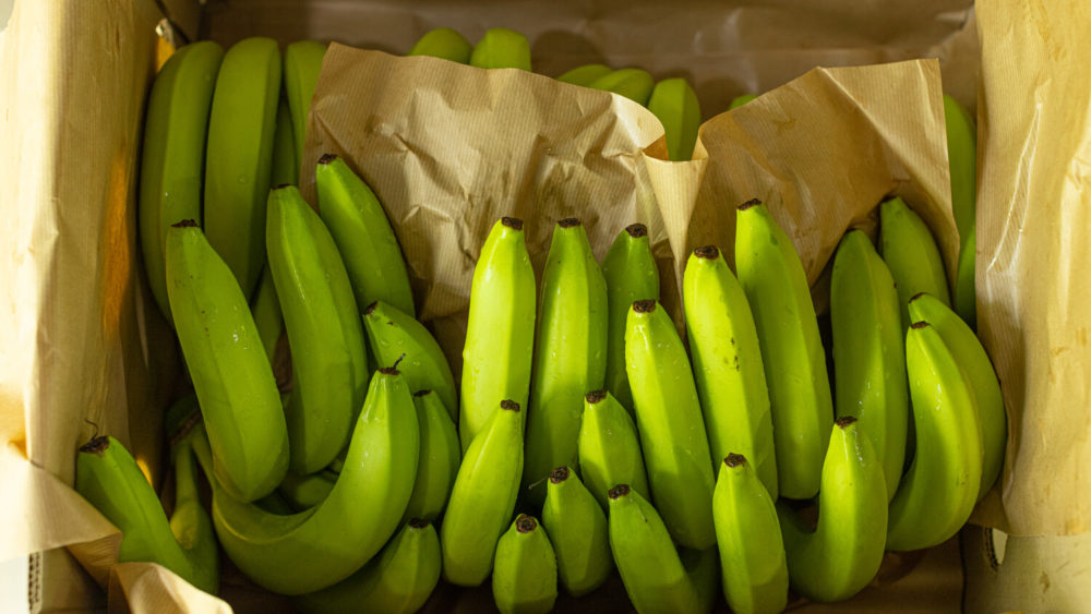 bananes certifiées Demeter