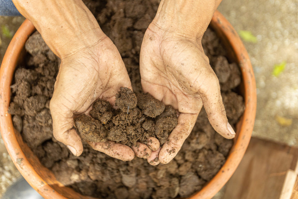 mains dans préparations biodynamiques