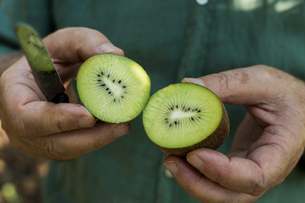 kiwi coupé en deux