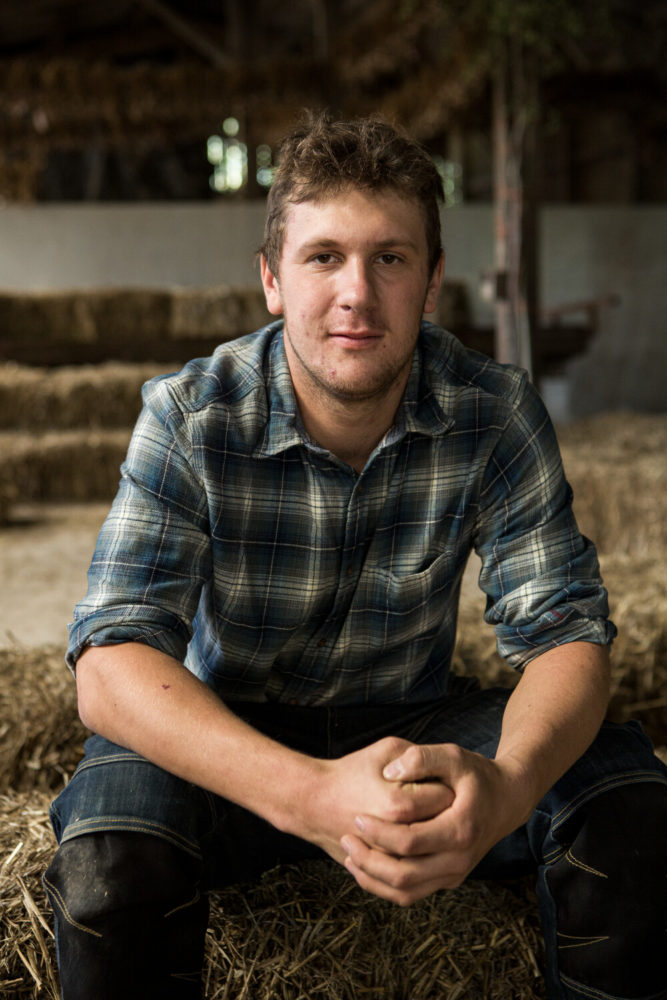 agriculteur dans étable