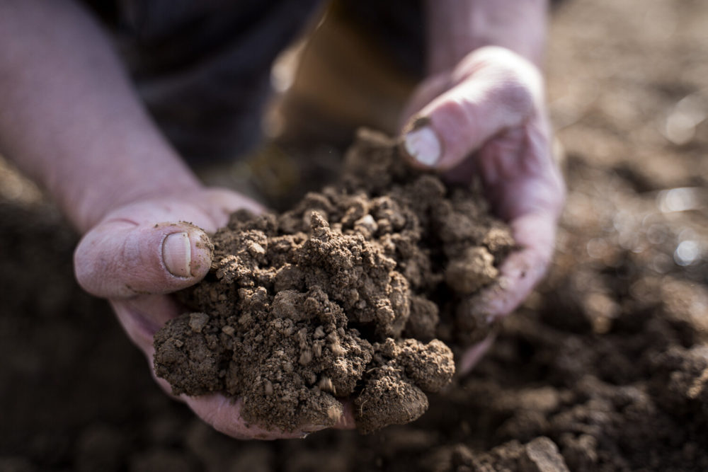 sol ferme biodynamique