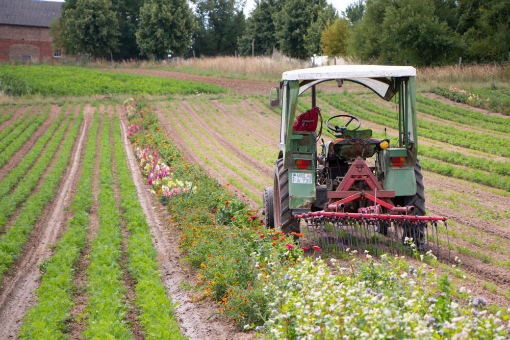 tracteur dans champ