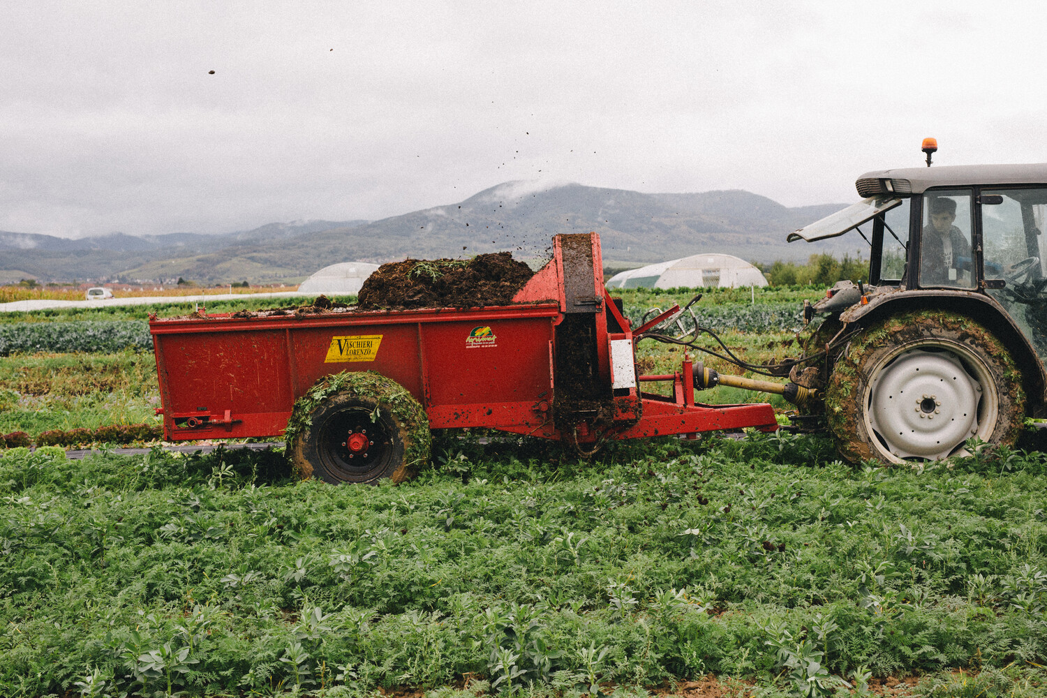 tracteur dans champ