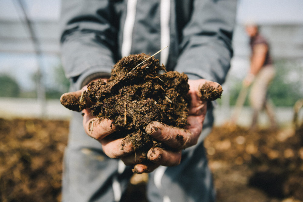 compost biodynamique dans les mains d'un agriculteur