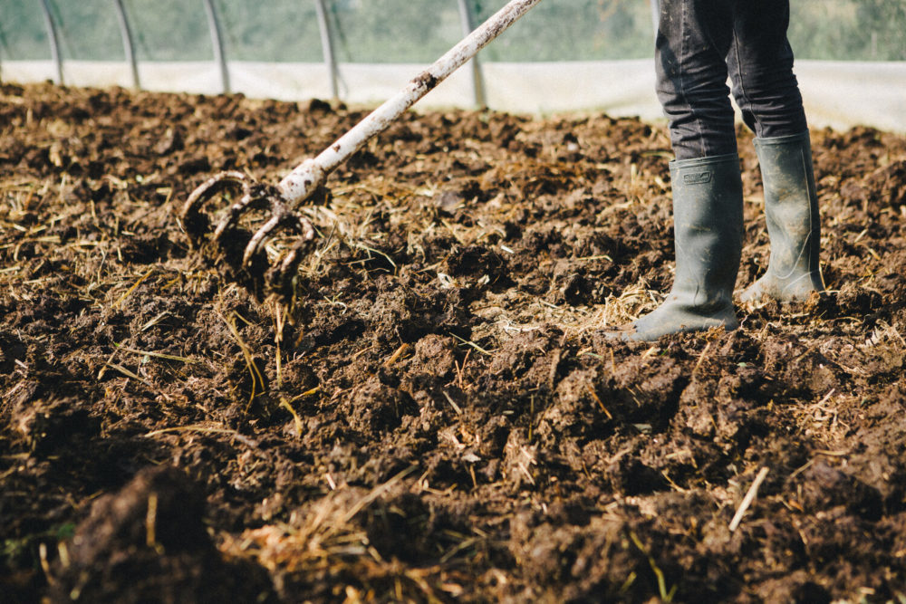 agriculteur épandant du compost biodynamique