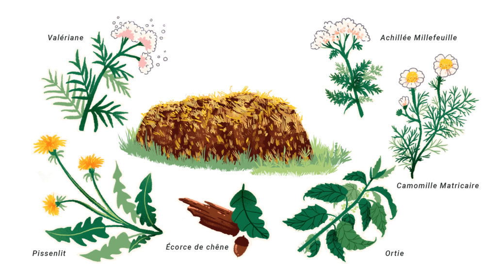 illustration compost biodynamique