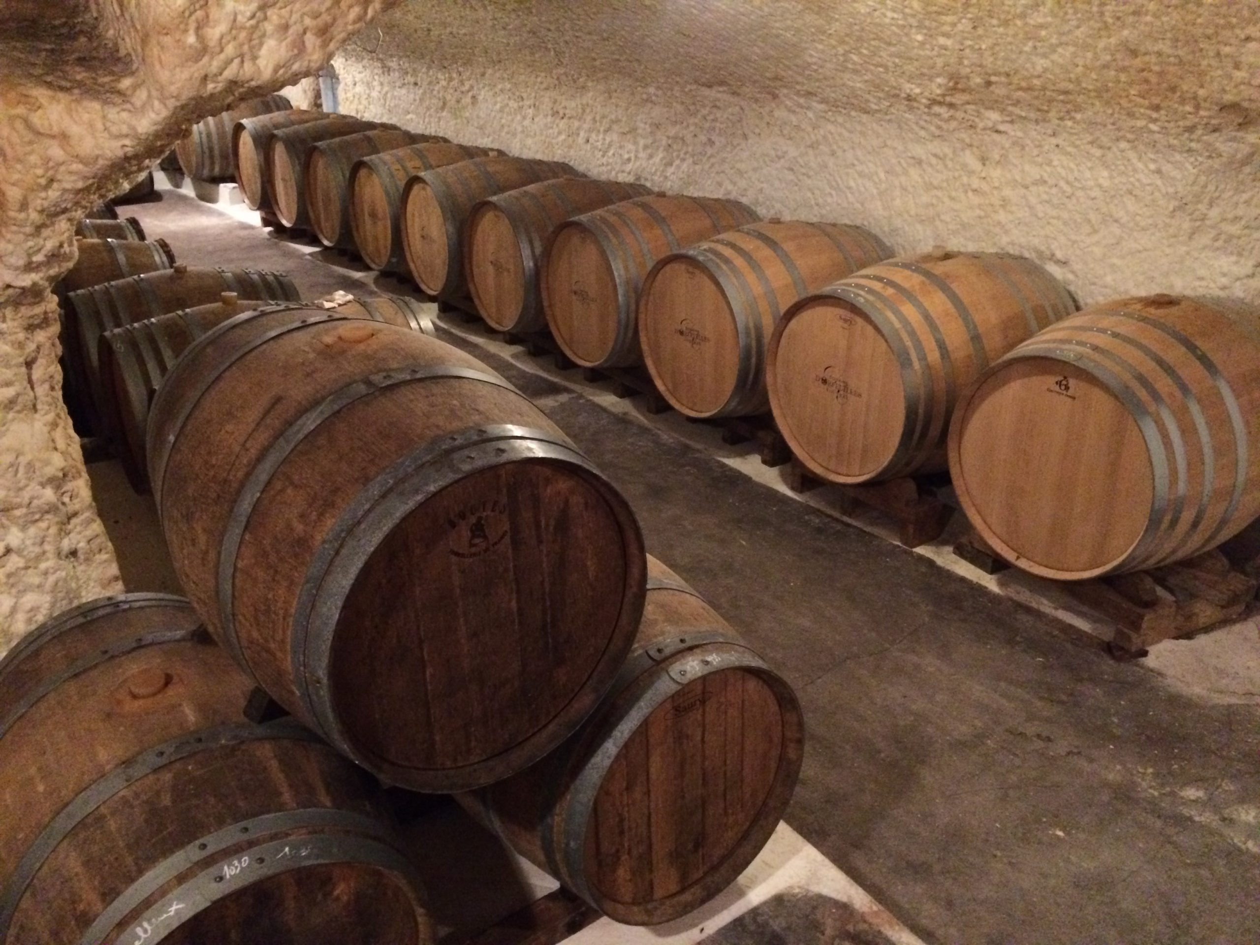https://www.demeter.fr/wp-content/uploads/2022/03/246-Arnaud-HERIVAULT-Domaine-dOrfeuilles-scaled.jpg