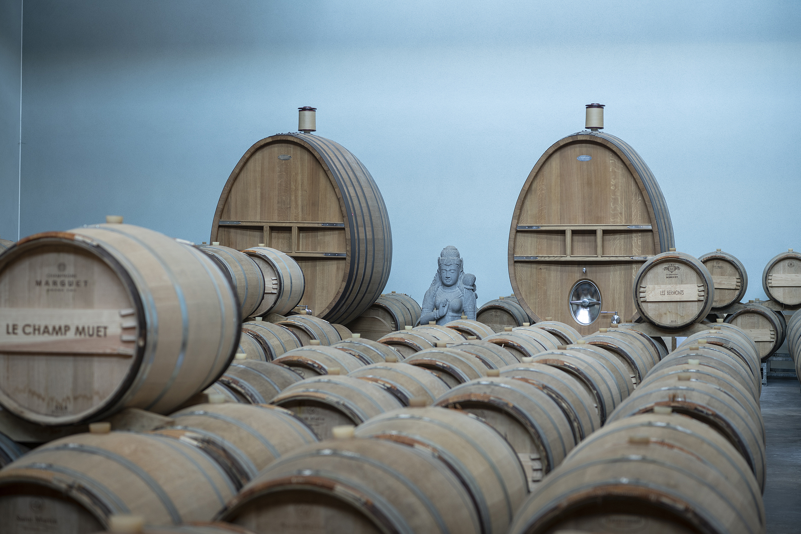 https://www.demeter.fr/wp-content/uploads/2022/03/8500815-Champagne-Marguet.jpg