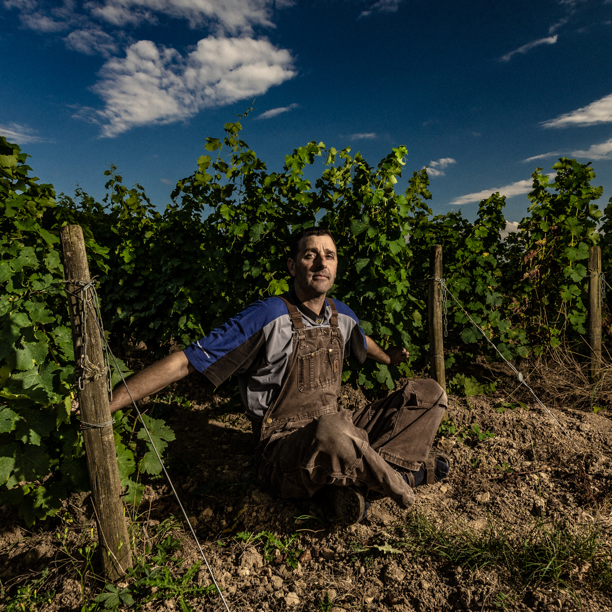 https://www.demeter.fr/wp-content/uploads/2022/03/DOMAINE-V.GAUDRY-_DSC3587-Severine-Godon.jpg