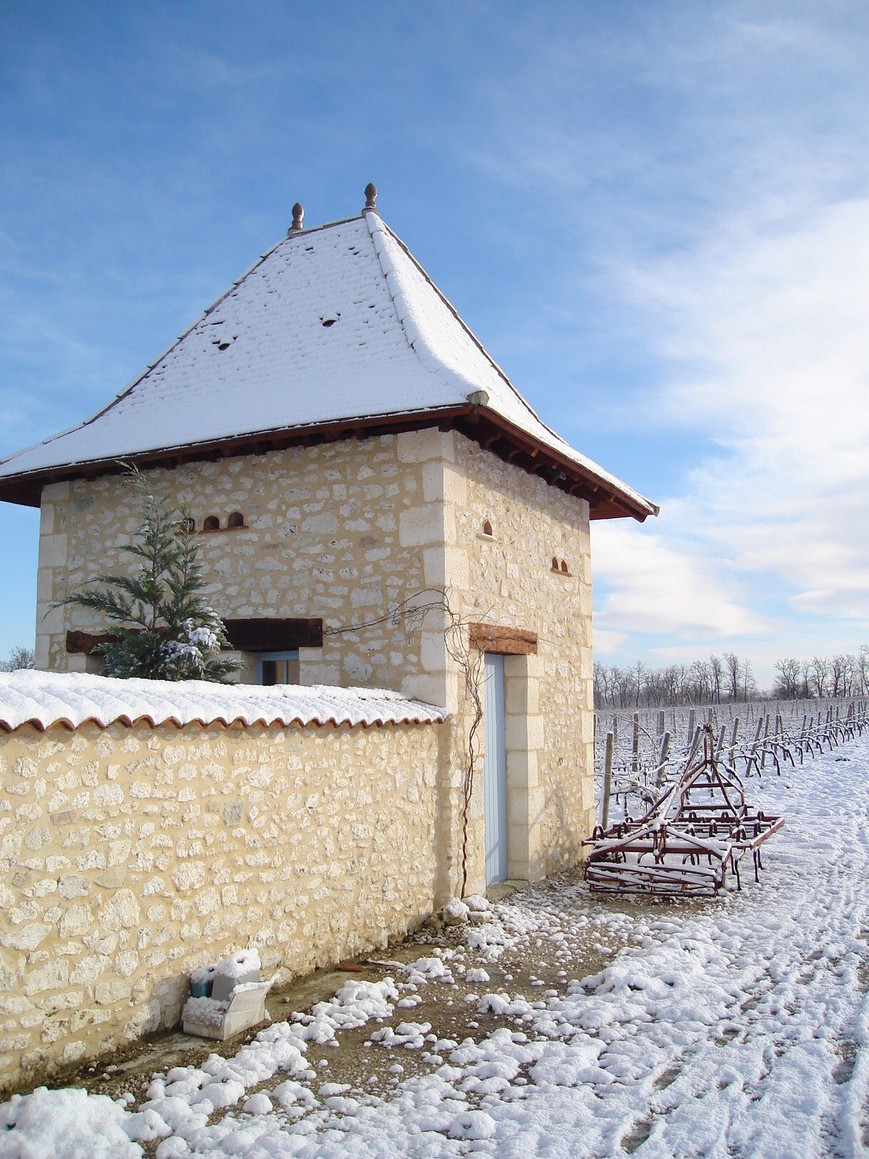 https://www.demeter.fr/wp-content/uploads/2022/03/DSC00281-Chateau-Jonc-Blanc-rotated.jpg
