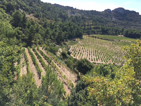https://www.demeter.fr/wp-content/uploads/2022/03/Gigondas-Le-Pourra-domaine.du_.pourra@wanadoo.fr_.jpg
