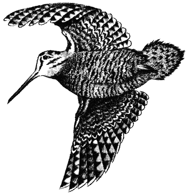 logo Domaine de la Mordorée