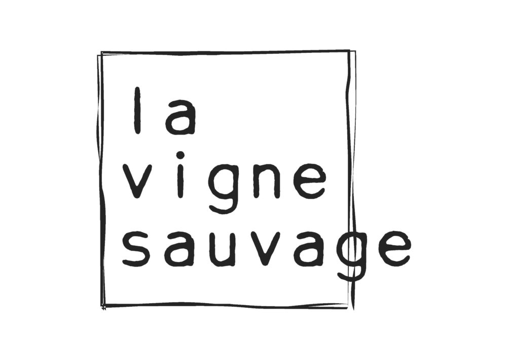 logo La vigne sauvage