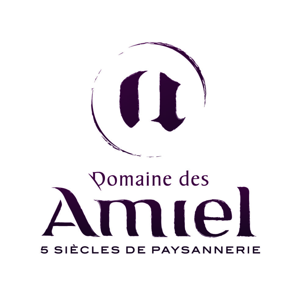 logo Domaine des Amiel