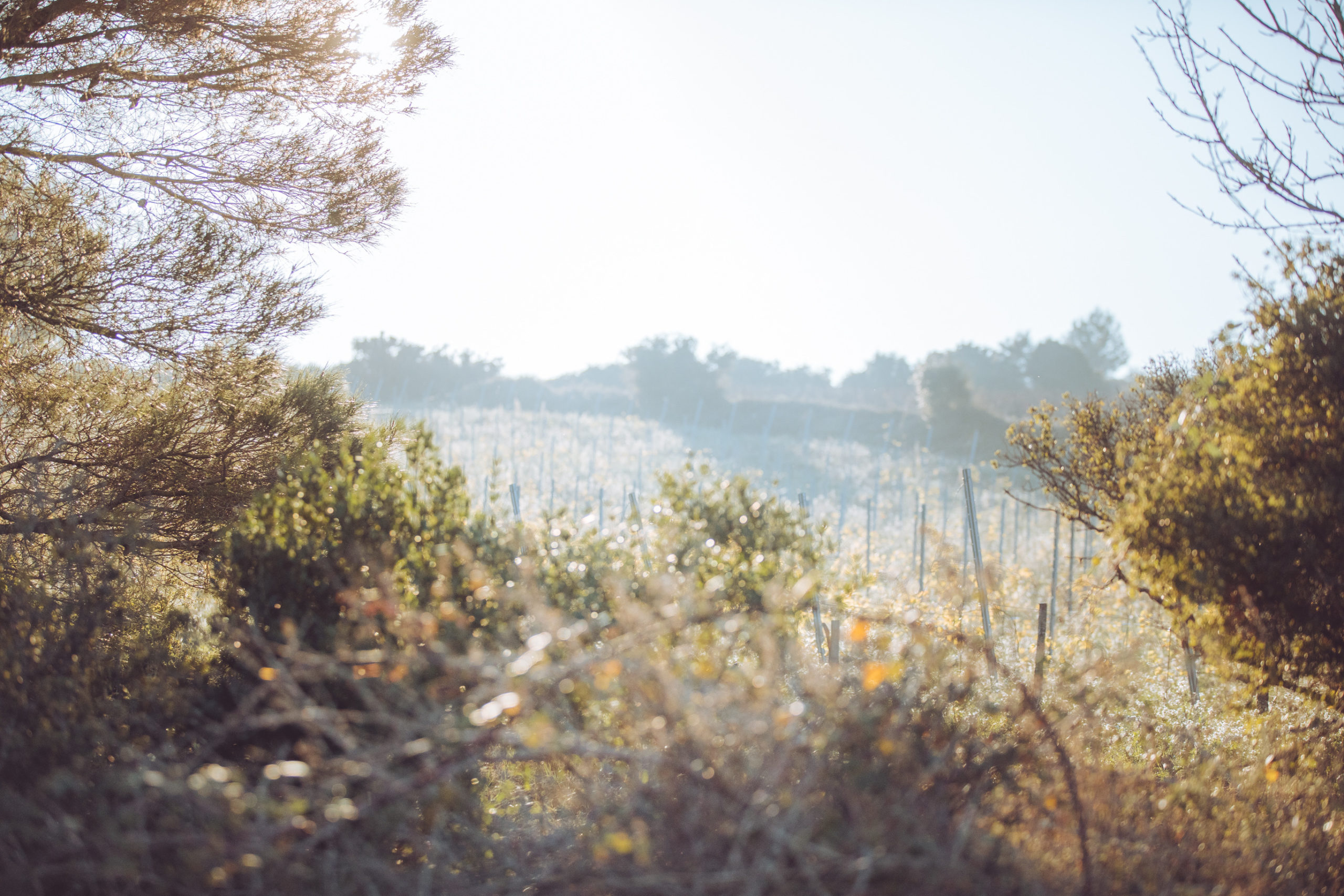 https://www.demeter.fr/wp-content/uploads/2022/03/PAYSAGE-12-magali-roux-scaled.jpg