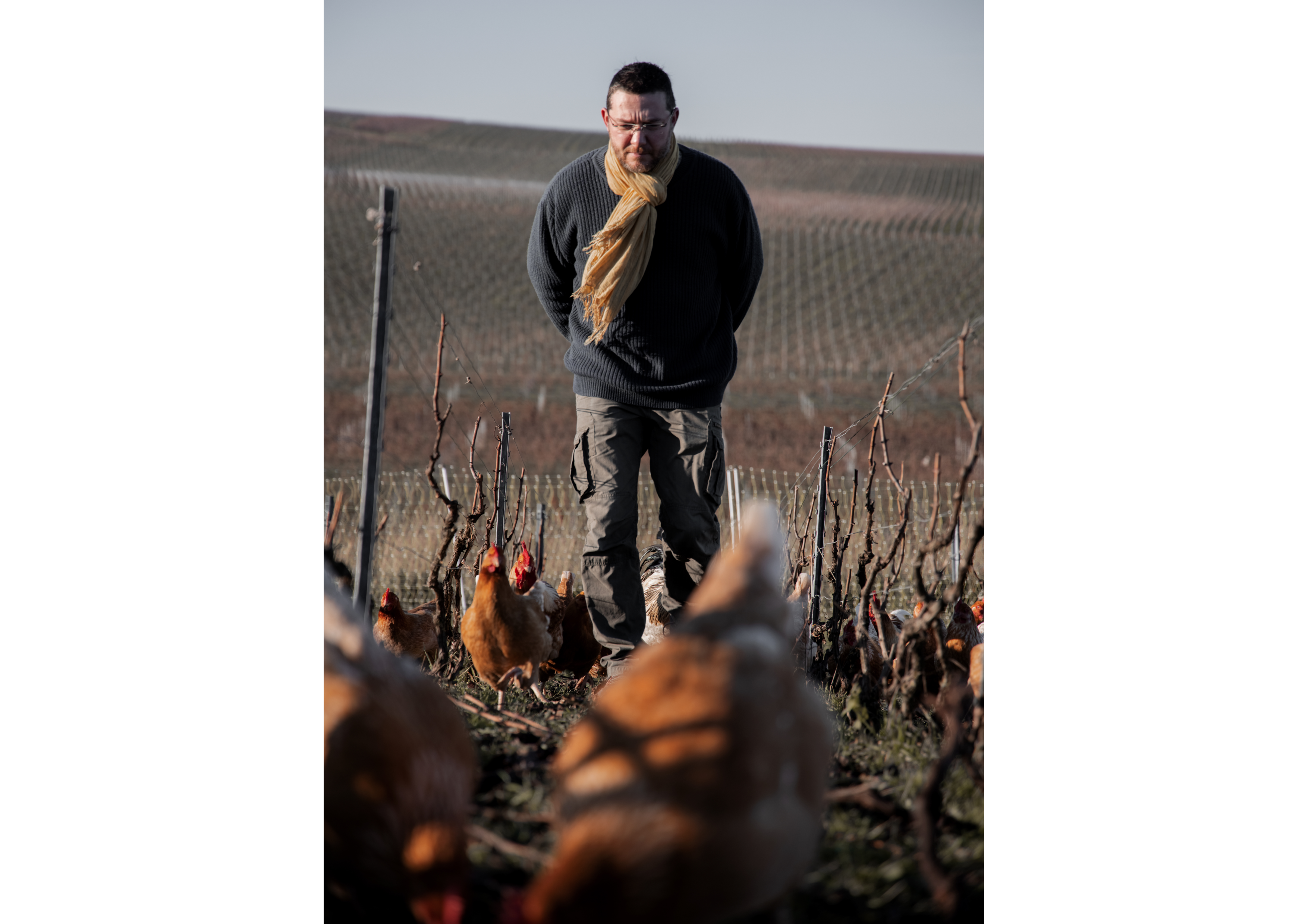 https://www.demeter.fr/wp-content/uploads/2022/03/Seb-poule.png