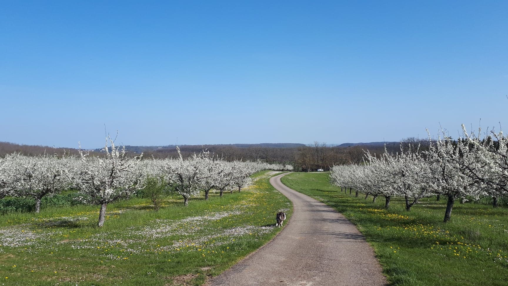 https://www.demeter.fr/wp-content/uploads/2022/03/bequi-La-Ferme-du-Bequi.jpg