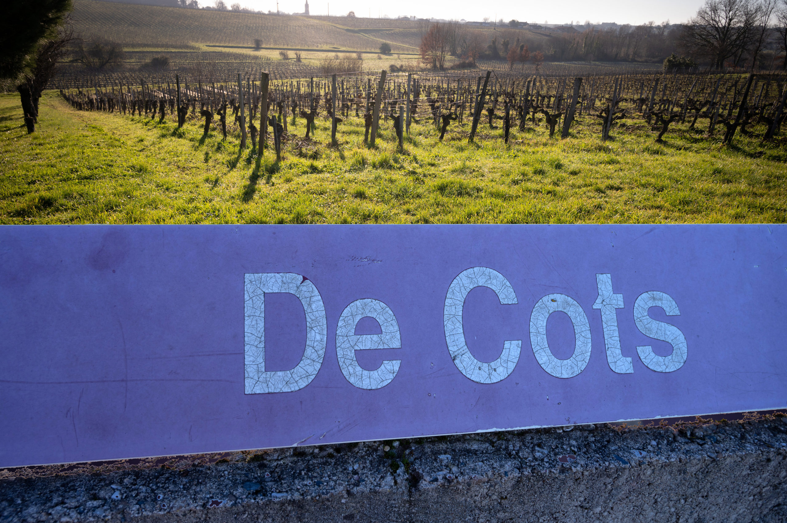 https://www.demeter.fr/wp-content/uploads/2022/03/cots-panneau-Copie-Remi-bergon-scaled.jpg