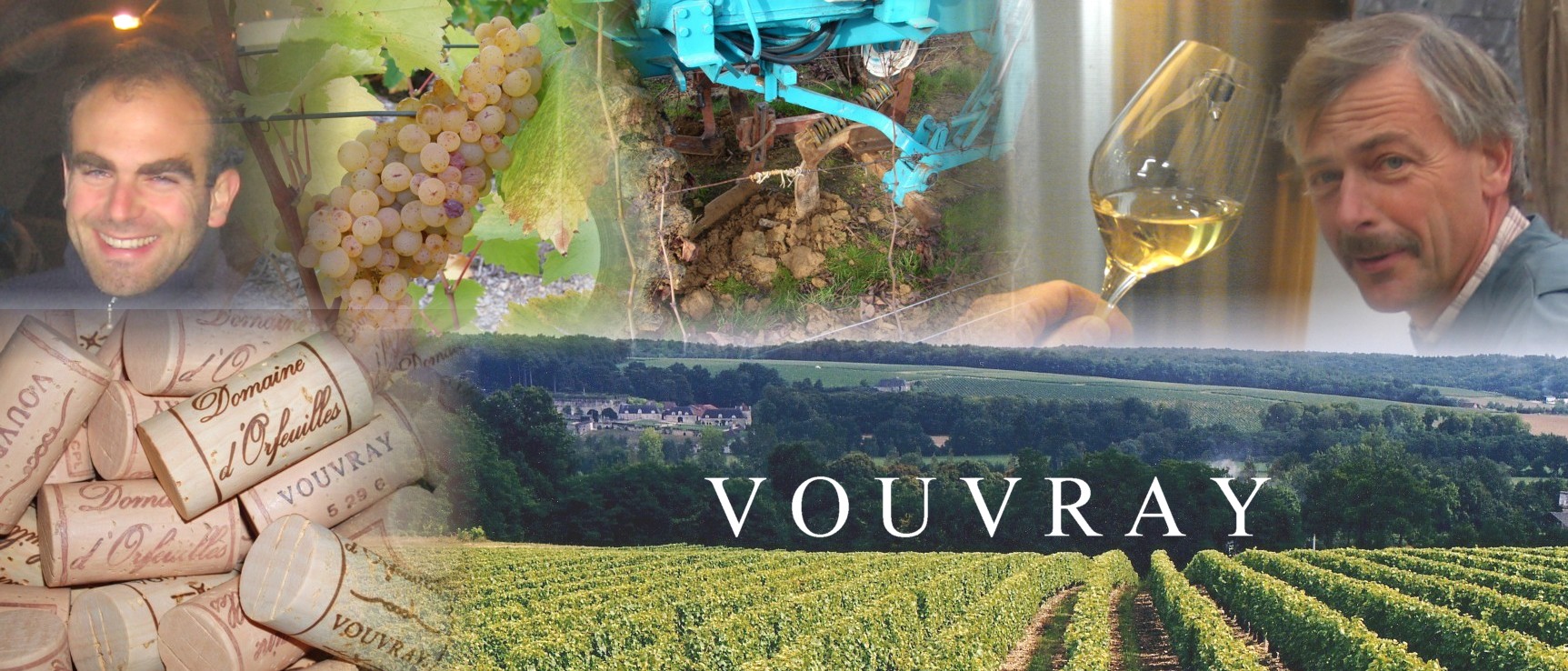 https://www.demeter.fr/wp-content/uploads/2022/03/fusion15-Arnaud-HERIVAULT-Domaine-dOrfeuilles.jpg
