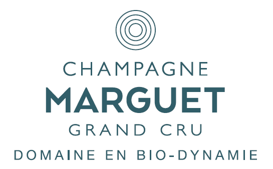 logo Champagne Marguet