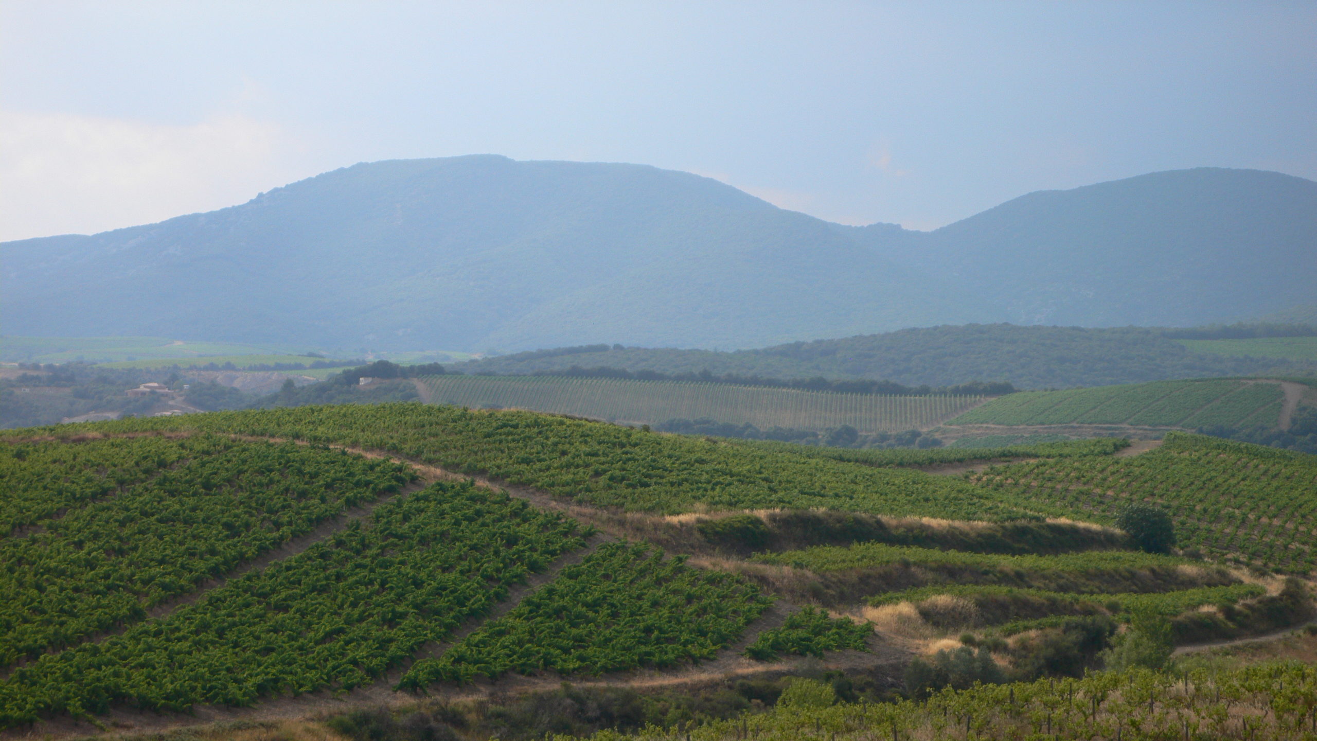 https://www.demeter.fr/wp-content/uploads/2022/03/paysage-Olivier-Binet-scaled.jpg