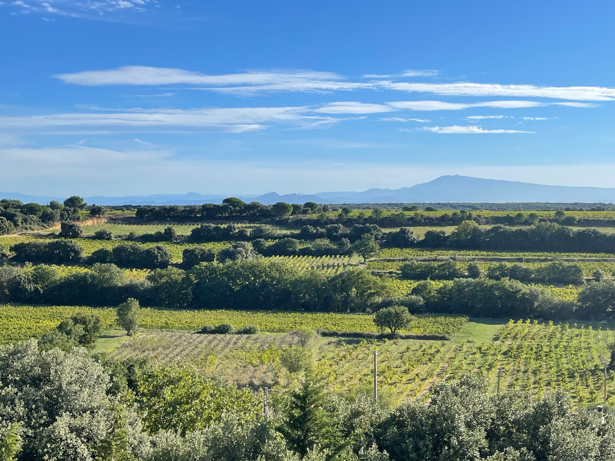 https://www.demeter.fr/wp-content/uploads/2022/03/vu-depuis-villa-mont-ventoux-Domaine-de-la-Mordoree.jpg
