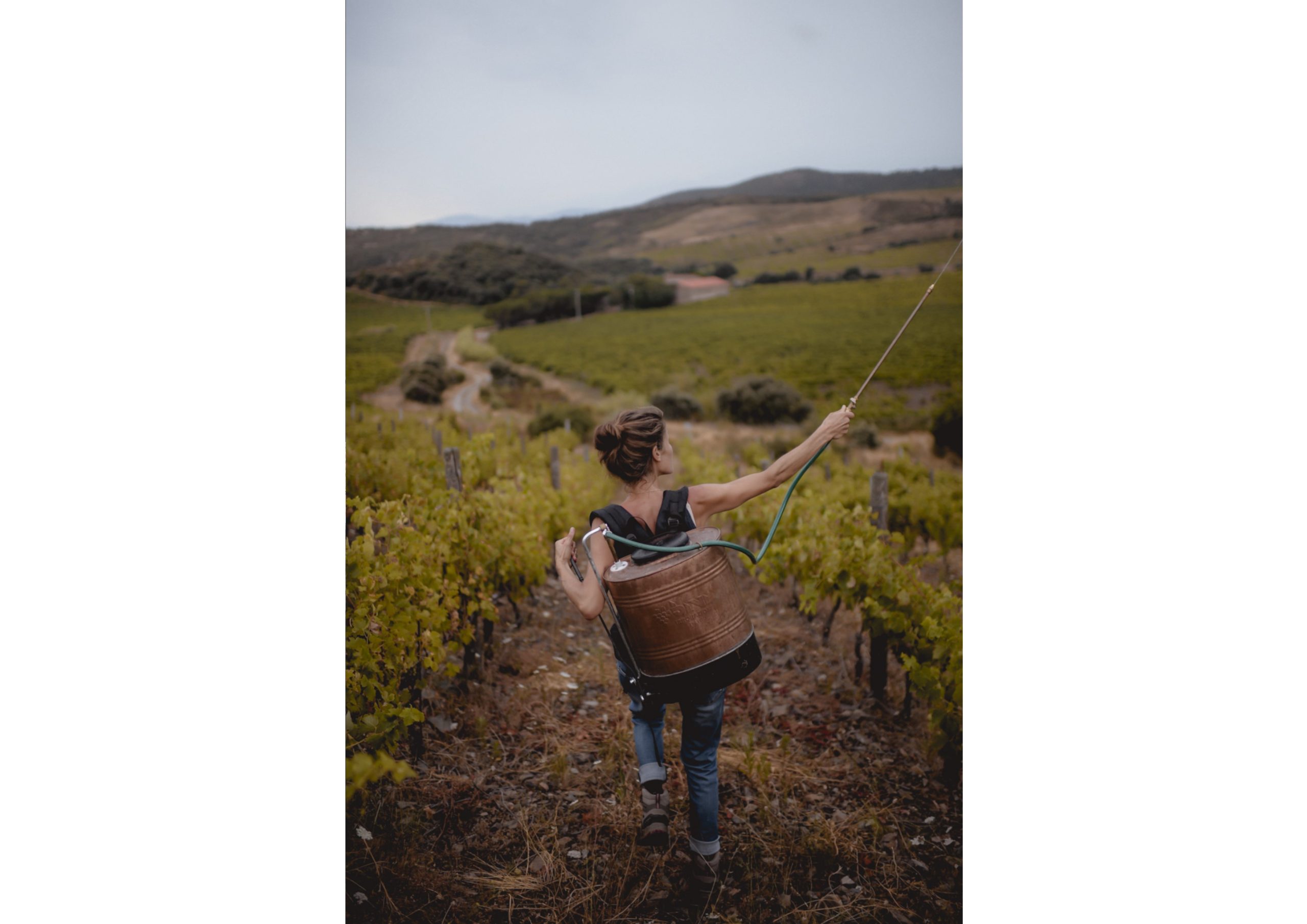 https://www.demeter.fr/wp-content/uploads/2022/04/DSC2566-Gregoire-Buiatti-scaled.jpg