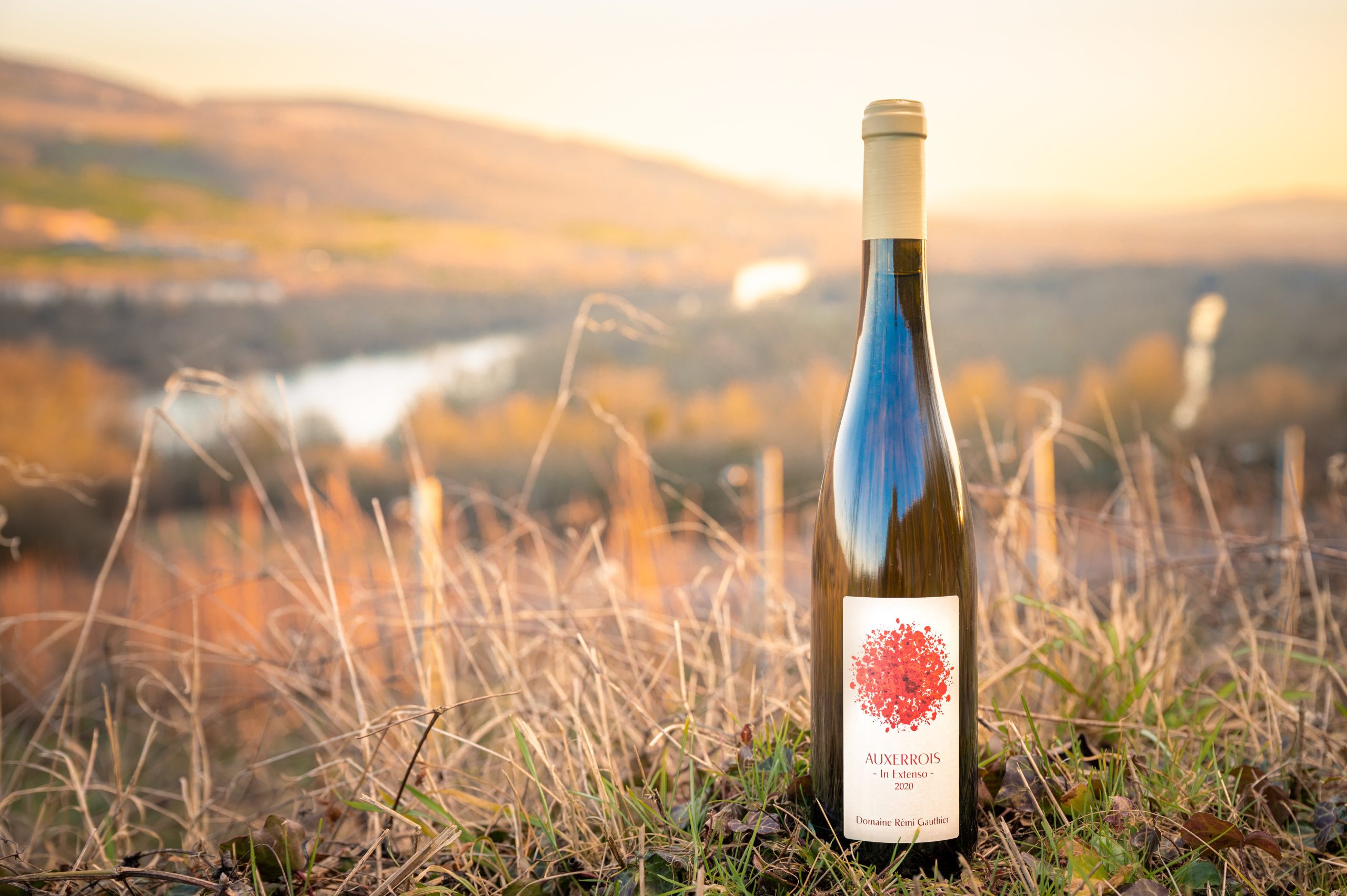 https://www.demeter.fr/wp-content/uploads/2022/04/DomaineRemiGauthier-4-Remi-Gauthier-scaled.jpg