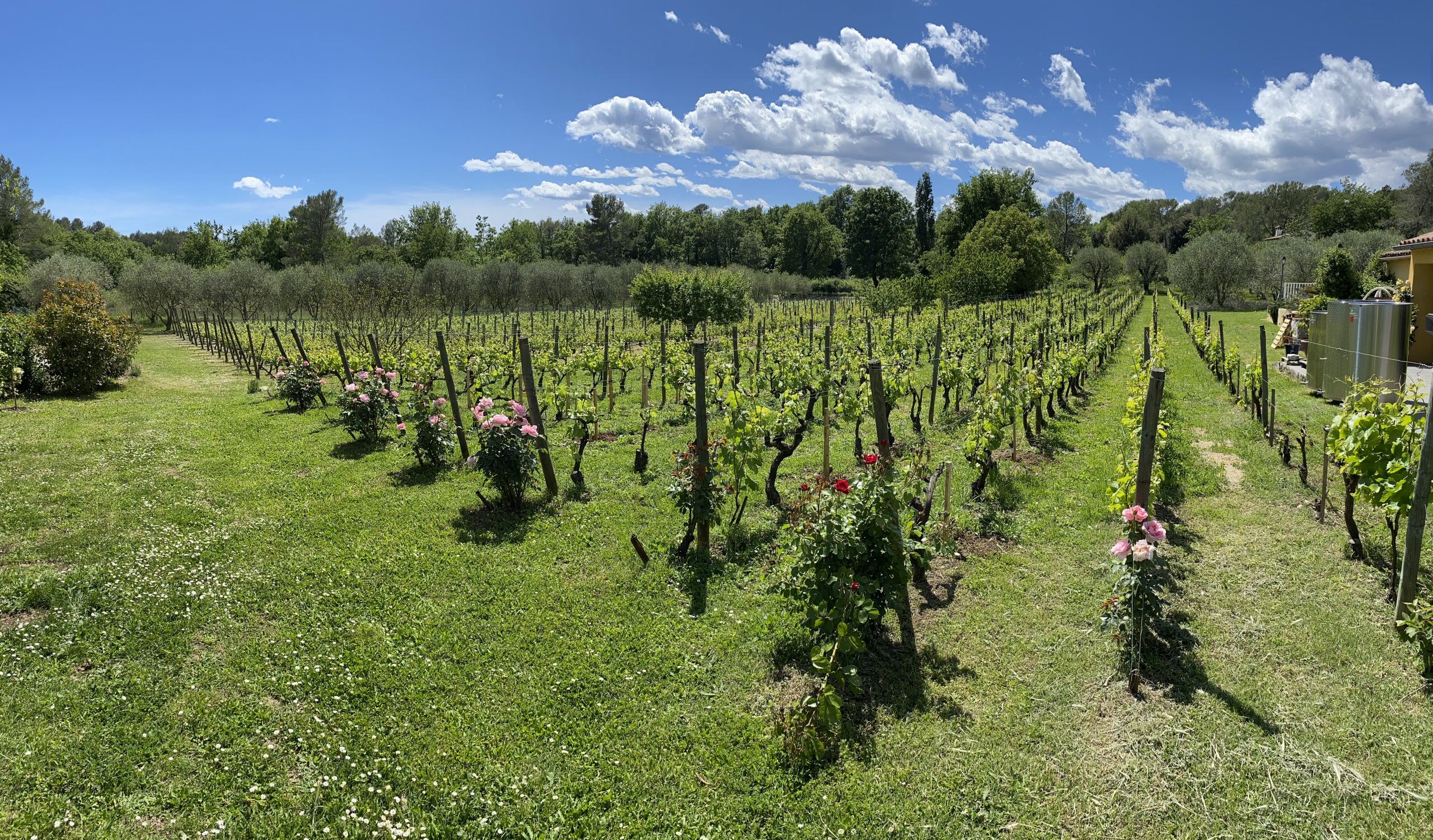 https://www.demeter.fr/wp-content/uploads/2022/04/IMG_0887-Julien-Bertaina-scaled.jpeg