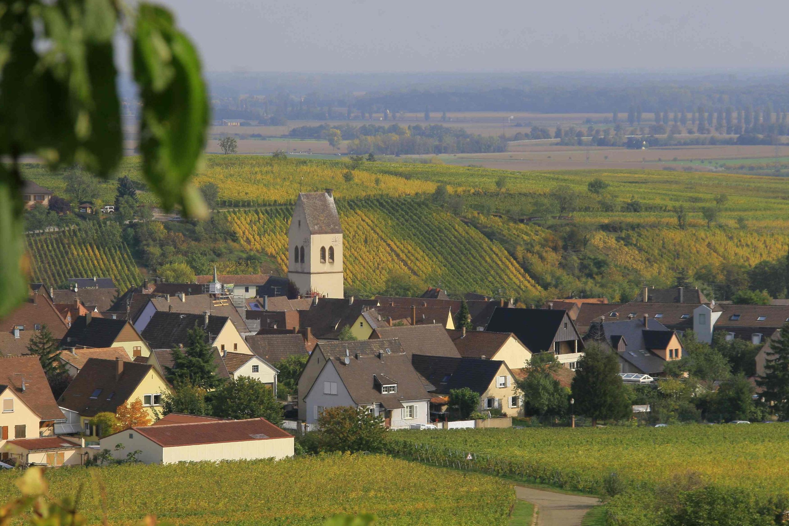https://www.demeter.fr/wp-content/uploads/2022/04/MITTELWIHR-benjamin-zirgel-scaled.jpg
