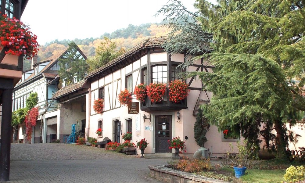 https://www.demeter.fr/wp-content/uploads/2022/04/caveau-KUENTZ-BAS-ALSACE.jpg