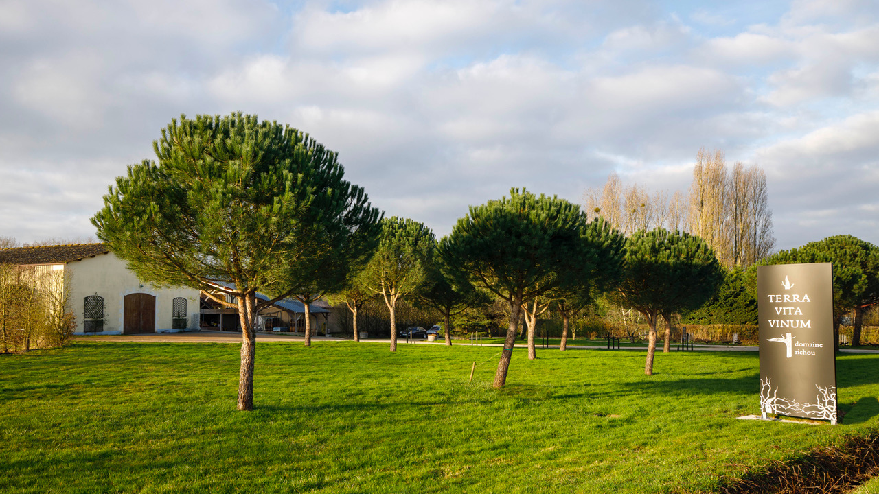 https://www.demeter.fr/wp-content/uploads/2022/06/Domaine-Totem-Bienvenue-TERRA-VITA-VINUM.jpeg
