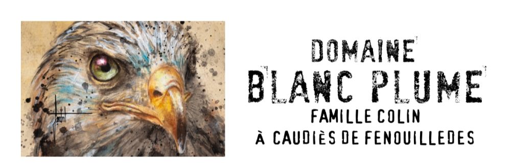 logo Domaine Blanc Plume