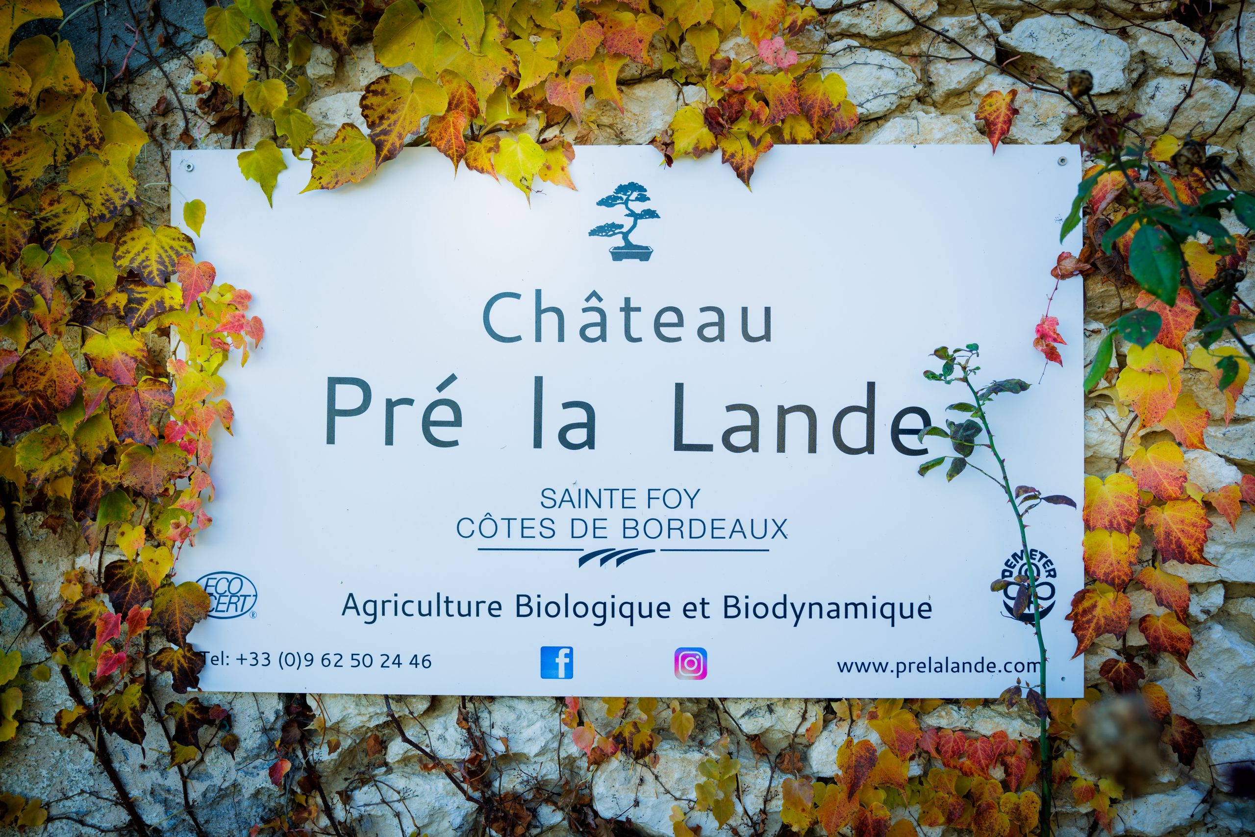 https://www.demeter.fr/wp-content/uploads/2022/09/Enseigne-PLL-Michel-Bauce-scaled.jpg