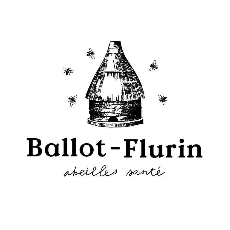 logo ballot-flurin