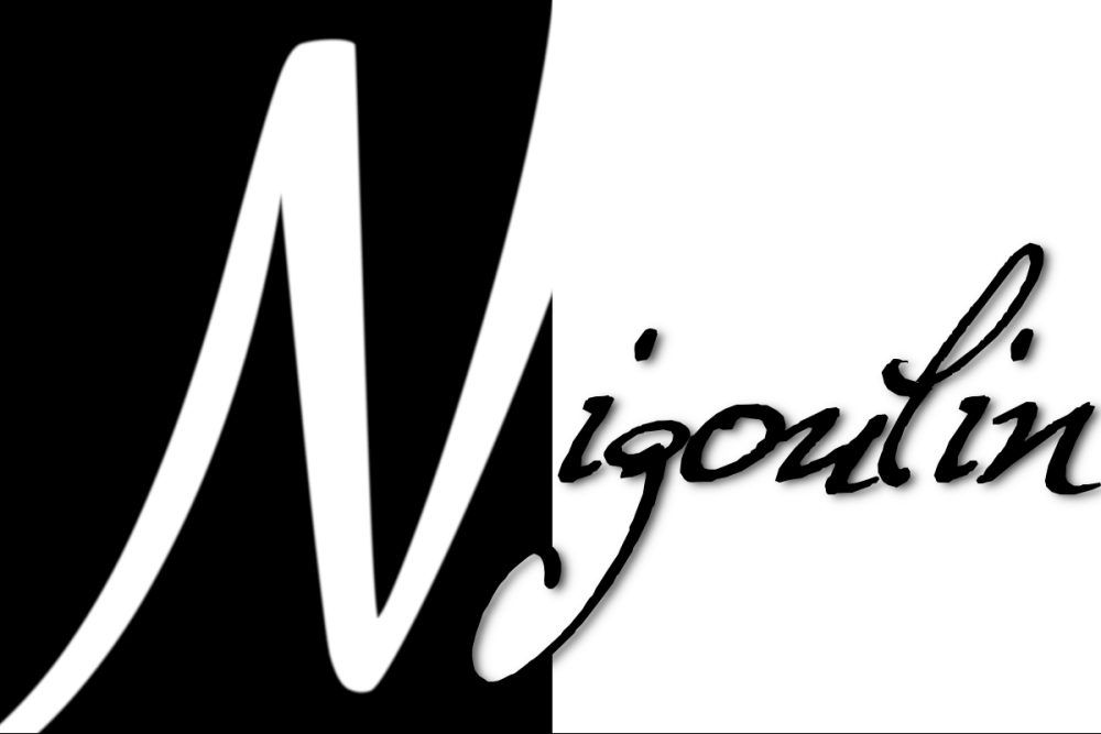 logo Nigoulin