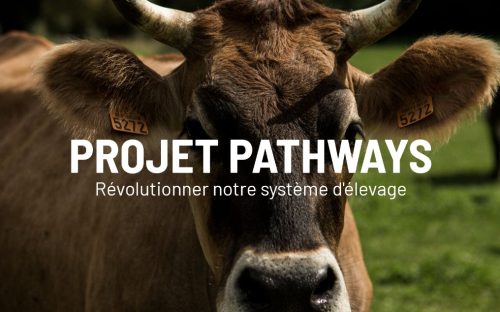 PATHWAYS – Révolutionner notre système d’élevage