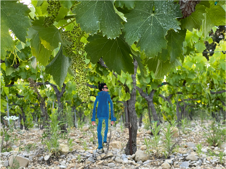 https://www.demeter.fr/wp-content/uploads/2024/01/1-blaise-tout-petit-dans-la-vigne-stephanie-rougnon.png