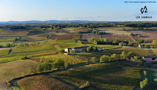 https://www.demeter.fr/wp-content/uploads/2024/06/1.1-Chateau-Les-Vignals.png