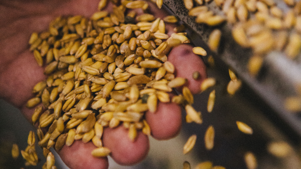 Grains Céréales Demeter