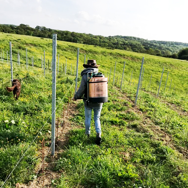 https://www.demeter.fr/wp-content/uploads/2025/07/biodynamie-Colienne-Demain.jpg