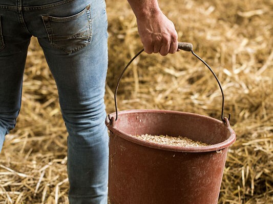 Dermatose Nodulaire : Interview de Camille Mottet, éleveuse sur une ferme Demeter en Ariège