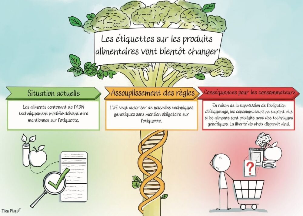 Infographie - Nouveaux OGM et ingrédients dissimulés